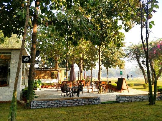 Hamoni: Cafe by the Greens